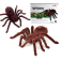 BAZAR - RC Tarantule
