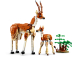 LEGO Creator - Divoká zvířata ze safari