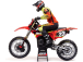 Losi Motorka Promoto-MX 1:4 RTR, FXR