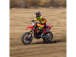 Losi Motorka Promoto-MX 1:4 RTR, FXR