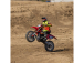 Losi Motorka Promoto-MX 1:4 RTR, FXR