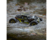 Losi Rock Rey Rock Racer 1:10 4WD AVC RTR modrý