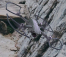 MAVIC AIR 2 - CYNOVA Ochranné oblouky
