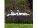 Mini Convergence VTOL 0.4m BNF Basic