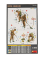 Miniart Figures Royal Engineers Military 1:35 /