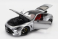 Nzg Mercedes benz Amg Gt63 (c192) 4-matic 2024 1:18 Hightech Stříbro