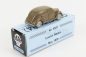 Officina-942 Lancia Ardea 1939 1:76 Brown