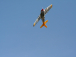 P-51 Mustang EPP barevný 1100mm (Šplích.)