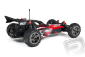 Raider 2WD Bls Brushless RTR