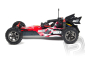 Raider 2WD Bls Brushless RTR