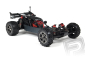 Raider 2WD Bls Brushless RTR