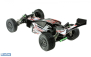 RC auto Buggy Rayline Funrace