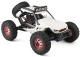 RC auto Buggy Storm Across