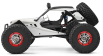 RC auto Buggy Storm Across