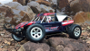 RC auto Dune Breaker Pro Sand Buggy Brushless