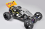 RC auto FG buggy WB 535