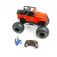 RC auto Jumbo Foot Off Road 1:10 RTR