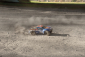 RC auto LRP S10 Twister 2wd SC