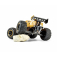 RC auto Stadium Fighter