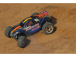 RC auto Traxxas Nitro Rustler truggy