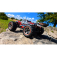 RC auto Truck DF06-PRO Brushless