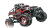 RC auto X-King