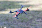 RC dron Race-Copter Dragon 250 RTB