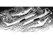 Revell Airbus A321-200 Condor (1:144) (sada)