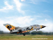 Revell Panavia Tornado ECR Tigermeet 2018 (1:72)