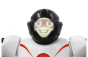 Robot Robibot