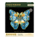 RoboTime Dřevěné puzzle Motýl Morpho Helena