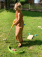 Small Foot Minigolf set Active