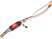 Spektrum regulátor Smart Avian 100A 3-6S Verze B