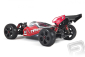 Typhon 6S Buggy 1/8 4WD RTR