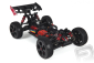 Typhon 6S Buggy 1/8 4WD RTR