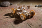 Ugears 3D dřevěné mechanické puzzle NASA, Lunární vozítko