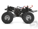 RC auto Wheely King Monster Truck