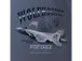 Antonio pánské tričko F-15C Eagle S