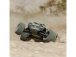 RC auto Arrma Vorteks 223S BLX DSC 2WD 1:10 RTR, žlutá