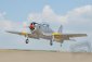 BH164 Percival P-56 Provost 1644mm ARF