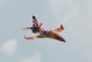 BH175 Viper Jet Mk.II (1885 mm) pro dmychadlo 120mm - Bílý