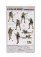 Dragon armor Accessories Air Assault Screaming Eagles Military Figures 1:35 /