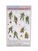Dragon armor Accessories Hedgerow Tank Hunters Front Military Figures 1944 1:35 /