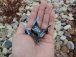 RC dron Faze 2