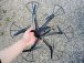 Dron MJX X600 HEXA s FPV, černá