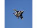 E-flite F-15 Eagle 0.7m SAFE Select BNF Basic