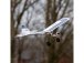 RC letadlo E-flite Slow Ultra Stick 0.5m AS3X SAFE Select RTF