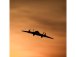 RC letadlo E-flite Ultrix 0.6m SAFE BNF Basic