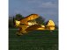 RC letadlo E-flite Waco 0.55m SAFE Select BNF Basic, žlutá