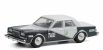 Greenlight Dodge Diplomat Tijuana Mexico Taxi 1984 1:64 2 Tóny Šedé